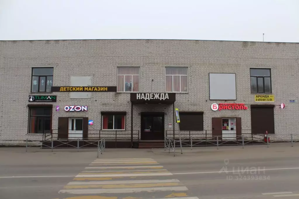 Торговая площадь в Воронежская область, Новоусманский район, пос. ... - Фото 1