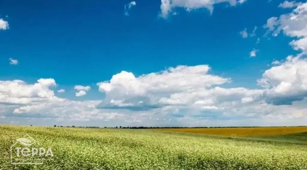 участок в крым, сакский район, с. молочное ул. пионерская (450.0 сот.) - Фото 0