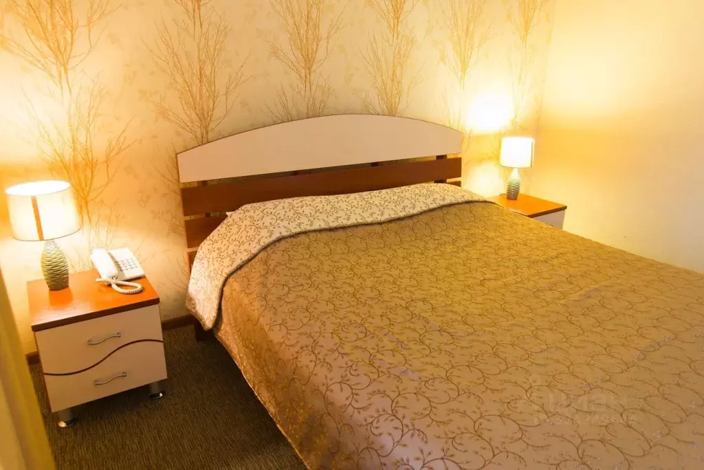 Комната Свердловская область, Екатеринбург просп. Ленина, 66А (35.0 м) - Фото 2