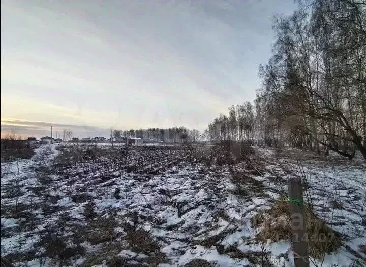 Участок в Калужская область, Бабынинский муниципальный округ, ... - Фото 2