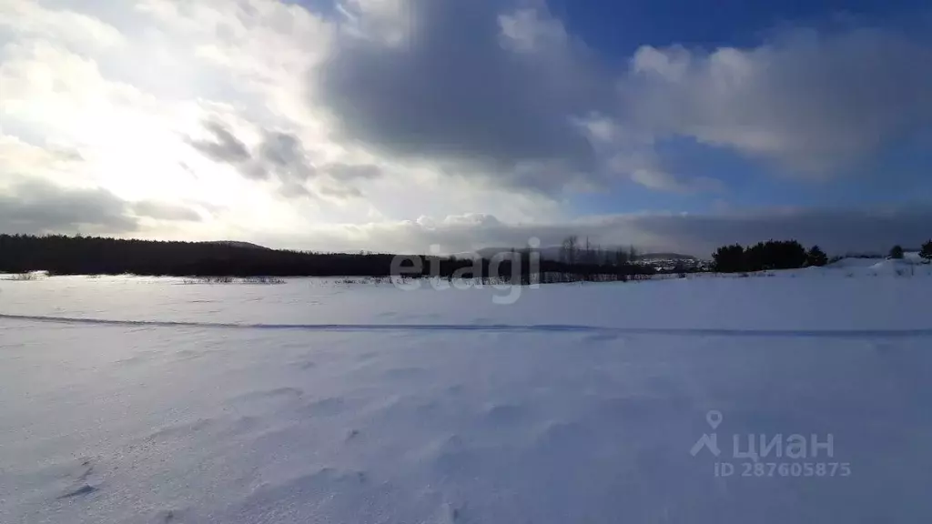 Участок в Свердловская область, Горноуральский городской округ, с. ... - Фото 0