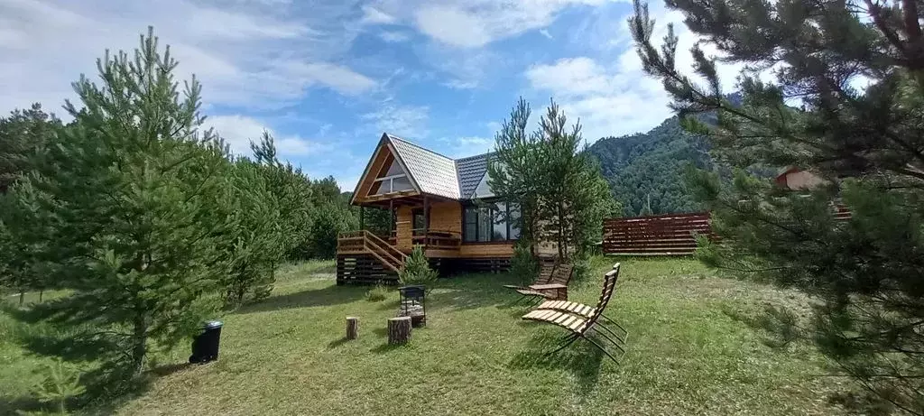 Дом в Алтай, Чемальский район, с. Чемал ул. Виноградная, 29 (56 м) - Фото 0