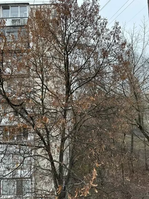 3-к кв. Москва Клинская ул., 11 (52.0 м) - Фото 2