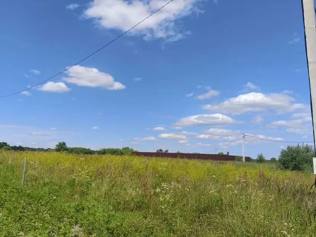 Участок в Московская область, Коломна городской округ, с. Чанки ул. ... - Фото 0