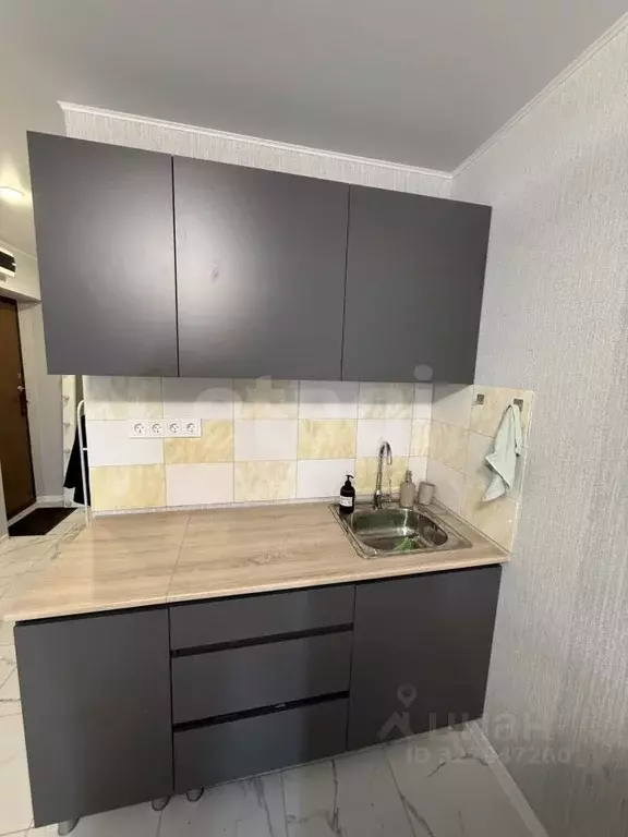 Студия Саратовская область, Энгельсский район, Красноярское ... - Фото 1