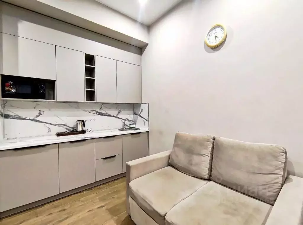 1-к кв. Краснодарский край, Сочи ул. Кирова, 95 (30.0 м) - Фото 2