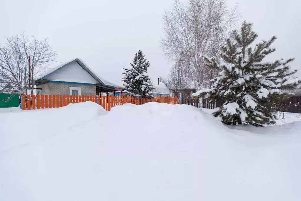 Дом в Новосибирская область, Искитим Зеленый Бор садовое товарищество, ... - Фото 2