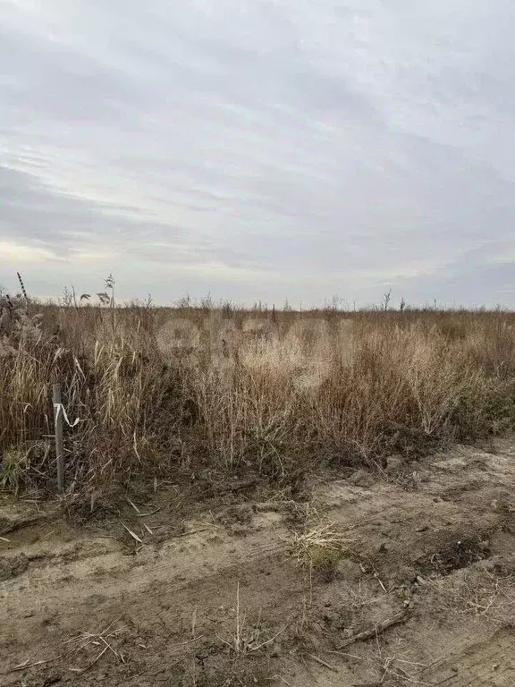 Участок в Тюменская область, Тобольский муниципальный округ, ... - Фото 1