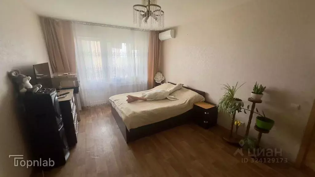 1-к кв. Калининградская область, Калининград ул. Левитана, 61 (36.3 м) - Фото 1