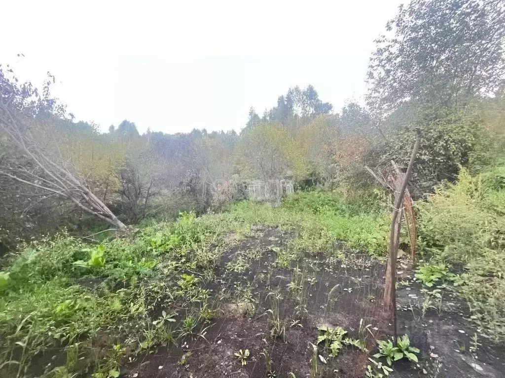 Участок в Алтай, Горно-Алтайск Строитель СНТ,  (7.8 сот.) - Фото 1