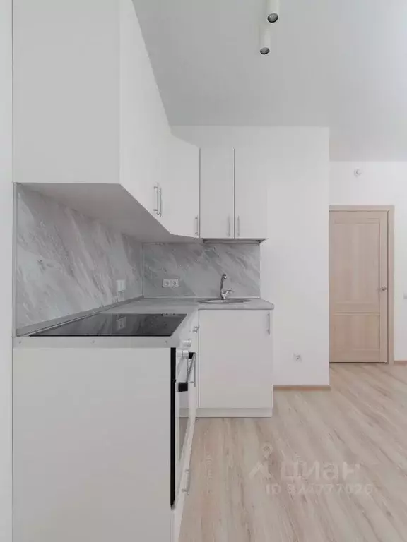 1-к кв. Нижегородская область, Нижний Новгород д. Анкудиновка, КМ ... - Фото 1