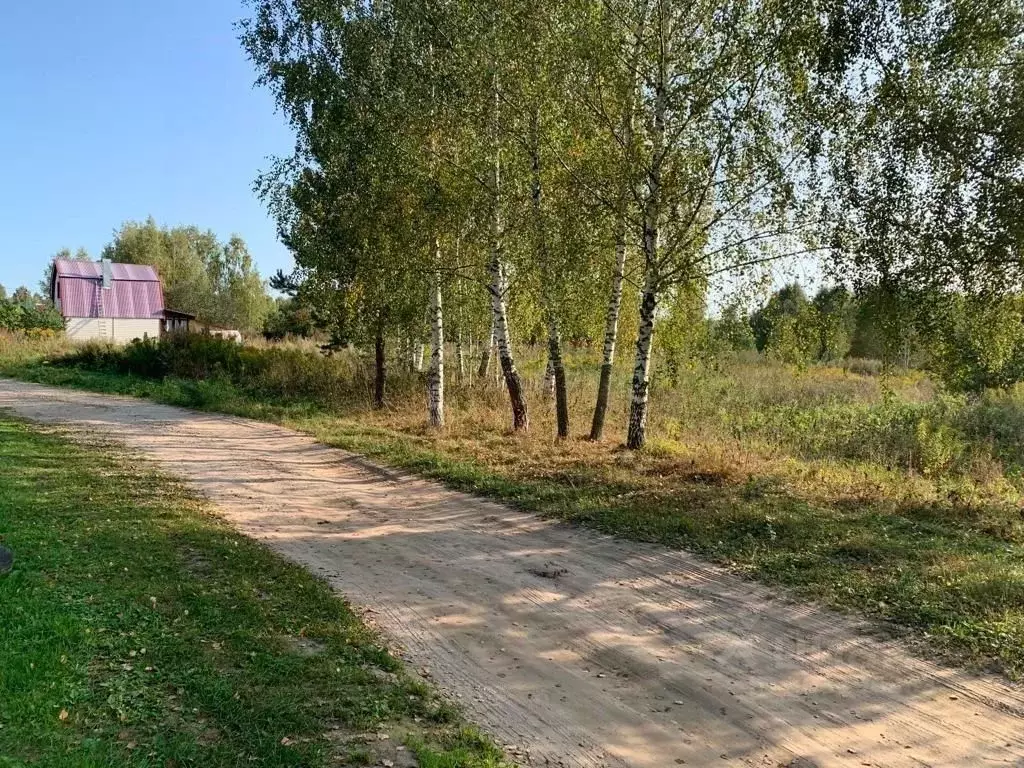 Участок в Нижегородская область, Бор городской округ, д. Яблонное  ... - Фото 0