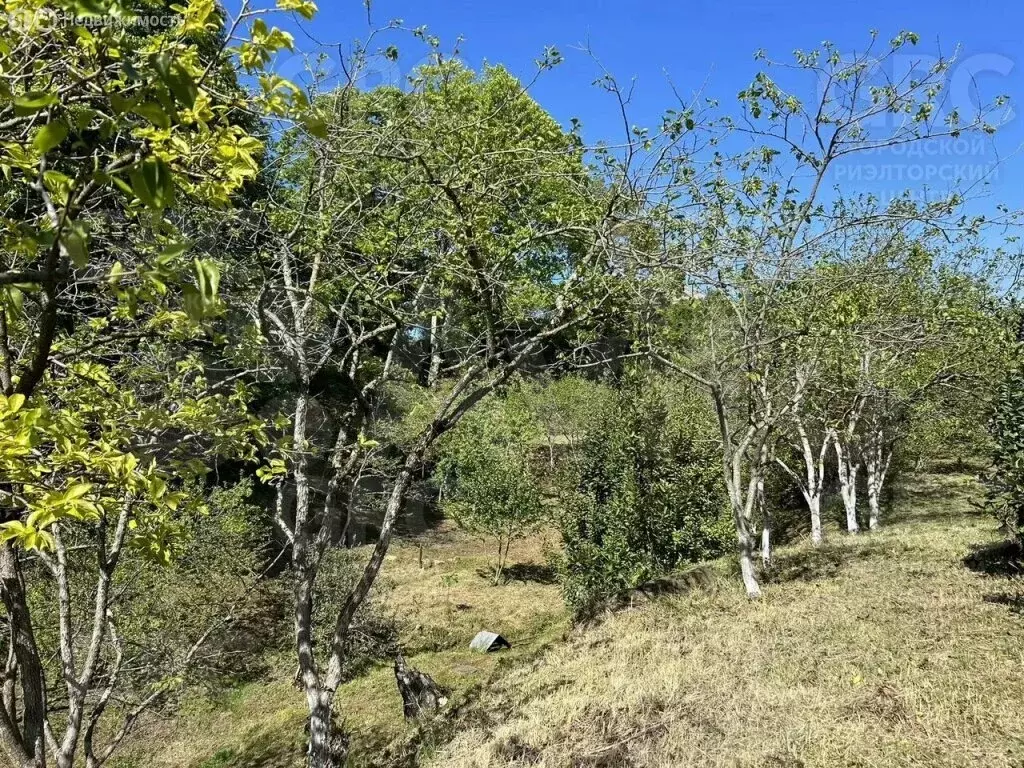 Участок в село Нижняя Шиловка, Светогорская улица (22 м) - Фото 0