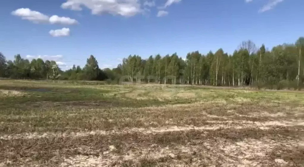 Участок в Брянская область, Почепский район, Дмитровское с/пос, пос. ... - Фото 1