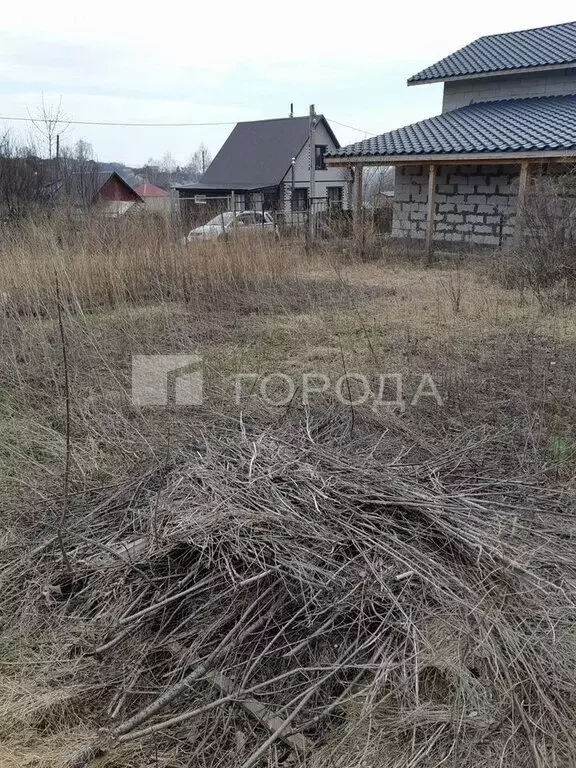 Участок в Алтайский край, городской округ Барнаул, посёлок ... - Фото 0