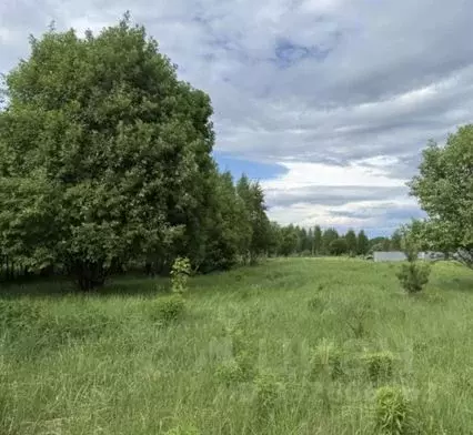 Участок в Московская область, Серпухов городской округ, с. Липицы  ... - Фото 1