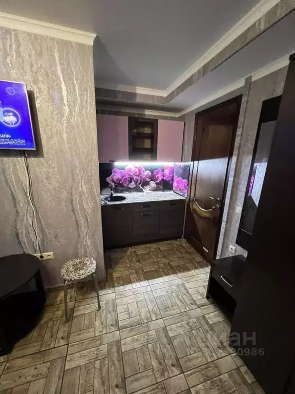 1-к кв. Краснодарский край, Сочи ул. Просвещения, 85Б (20.0 м) - Фото 1