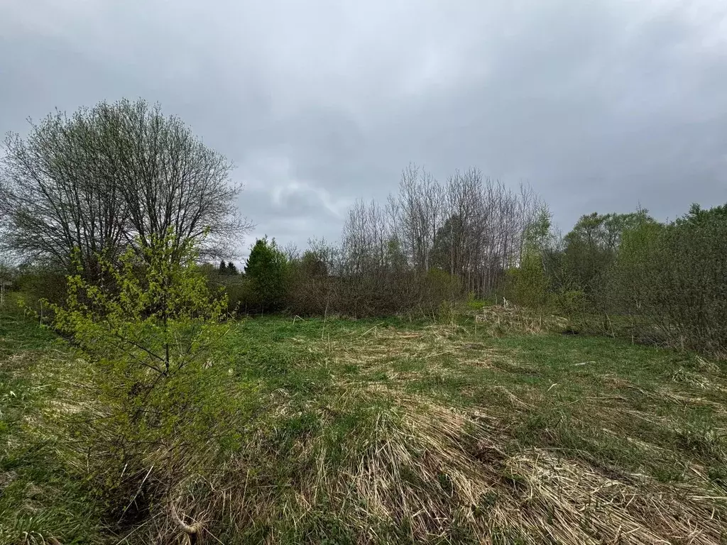 Участок в Московская область, Солнечногорск городской округ, д. ... - Фото 2