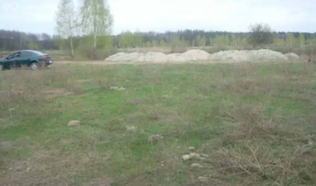 Участок в Владимирская область, Суздальский муниципальный округ, ... - Фото 2