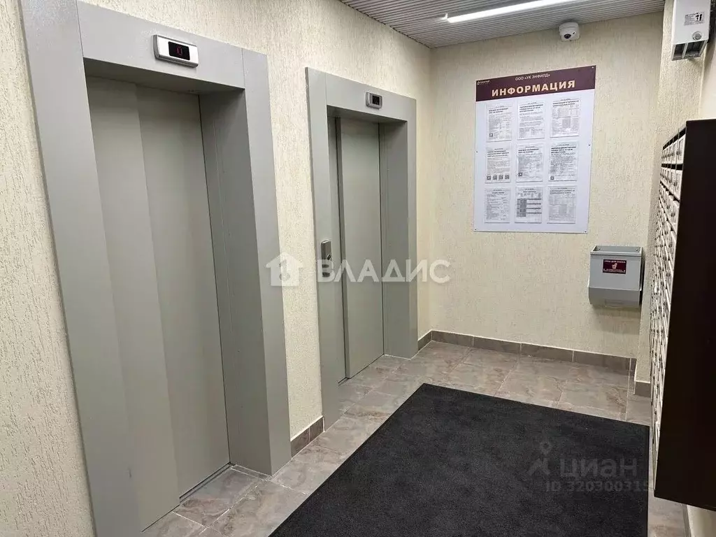 Студия Ленинградская область, Всеволожский район, пос. Бугры ул. ... - Фото 1