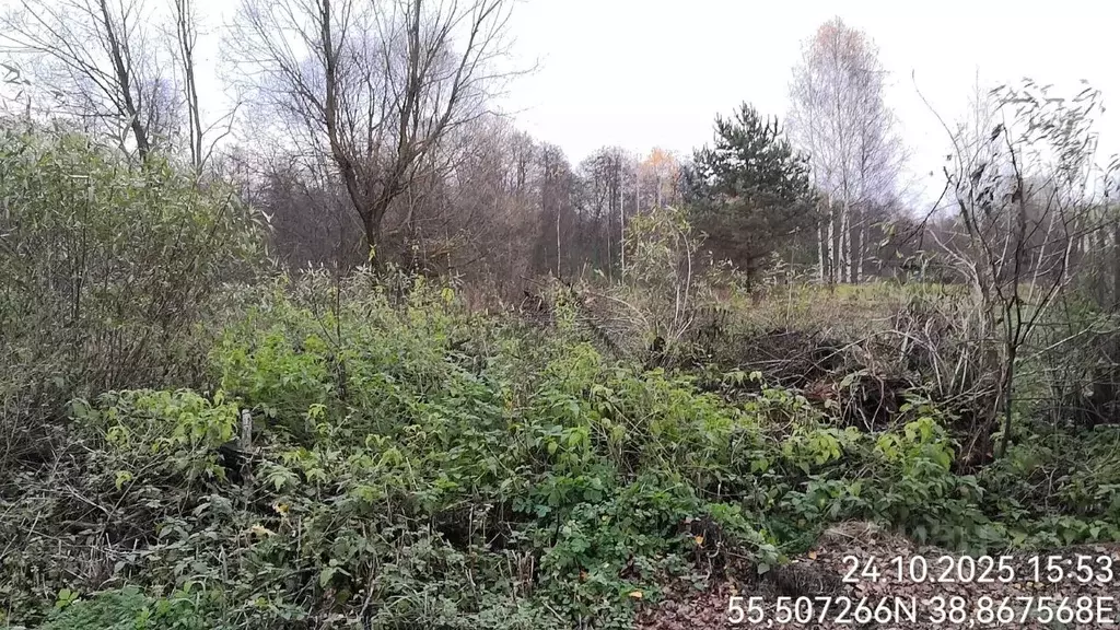 Участок в Московская область, Орехово-Зуевский городской округ, д. ... - Фото 2