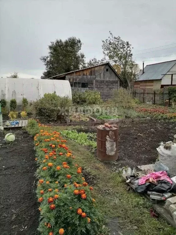 Дом в Новосибирская область, Новосибирск ш. Ордынское (25 м) - Фото 1