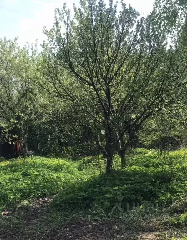 Участок в Московская область, Подольск Львовский мкр, ул. Советская, ... - Фото 2