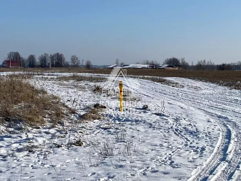 Участок в Нижегородская область, Кстовский муниципальный округ, д. ... - Фото 1