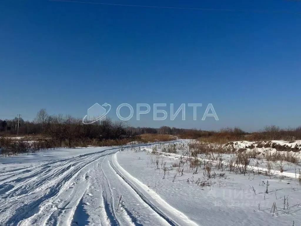 Участок в Тюменская область, Тюменский муниципальный округ, д. ... - Фото 1