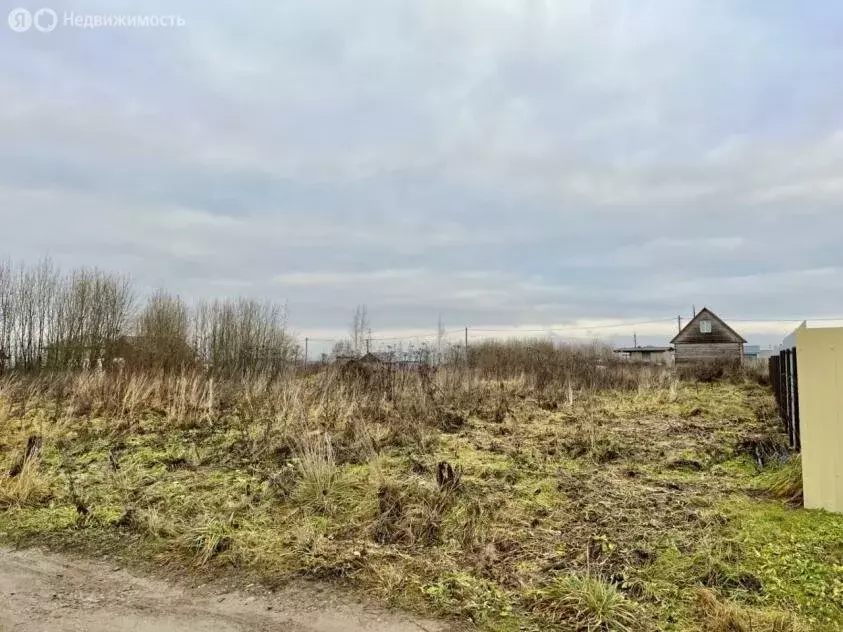 Участок в Воронеж, ДНТ Калининец, 2-я линия (8.21 м) - Фото 0