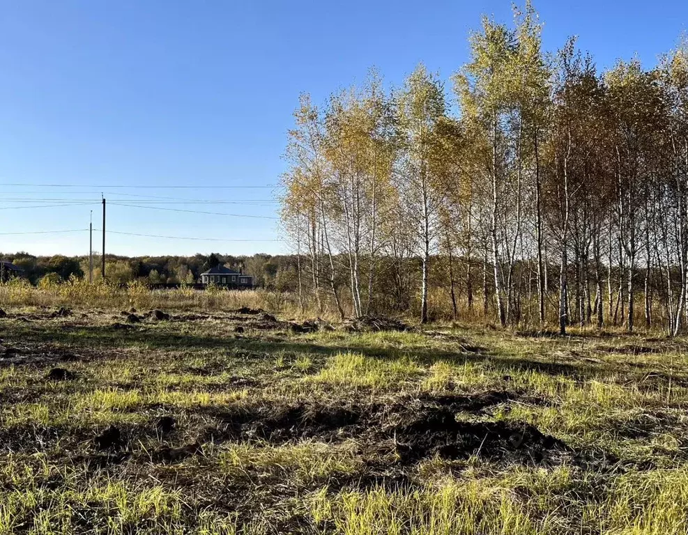 Участок в Московская область, Кашира городской округ, д. Тарасково ул. ... - Фото 1