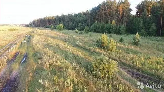 участок в липецкая область, добровский муниципальный округ, с. . - Фото 1