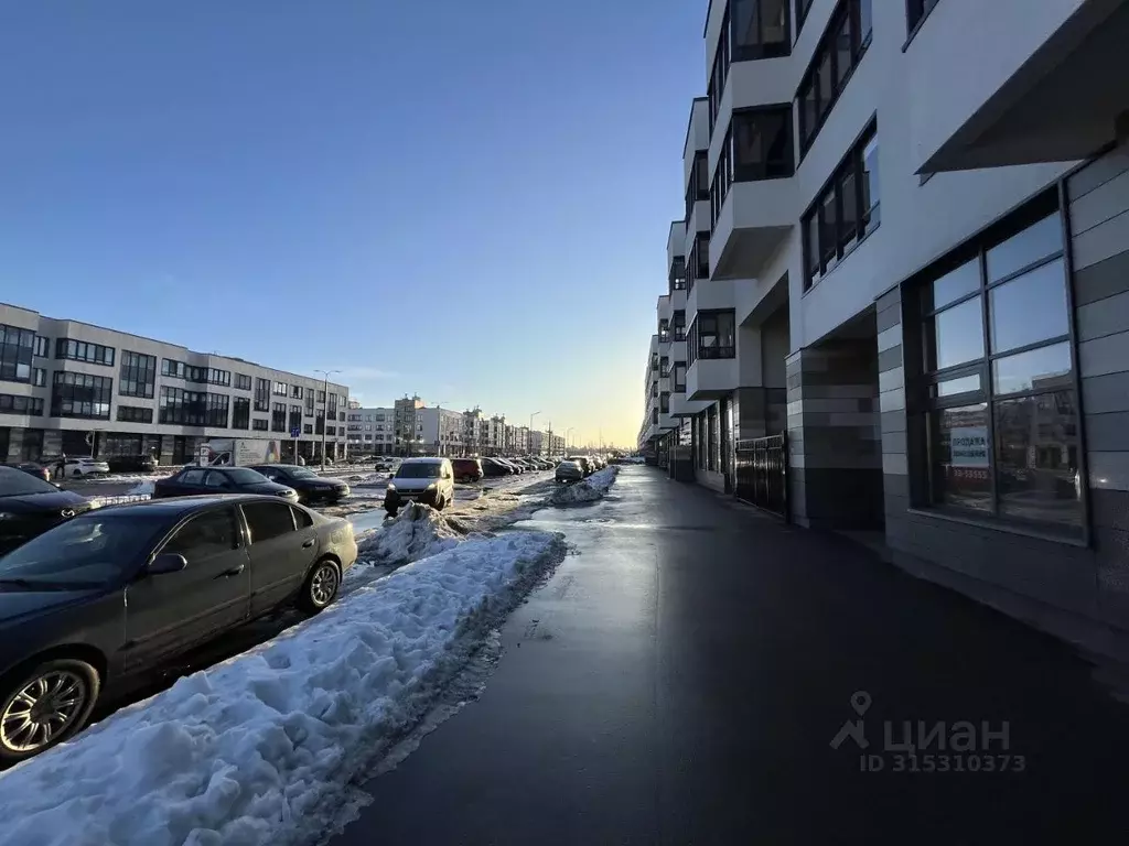 Помещение свободного назначения в Санкт-Петербург просп. Ветеранов, ... - Фото 1