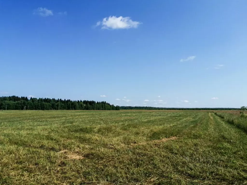 Где Купить Землю Сельхозназначения