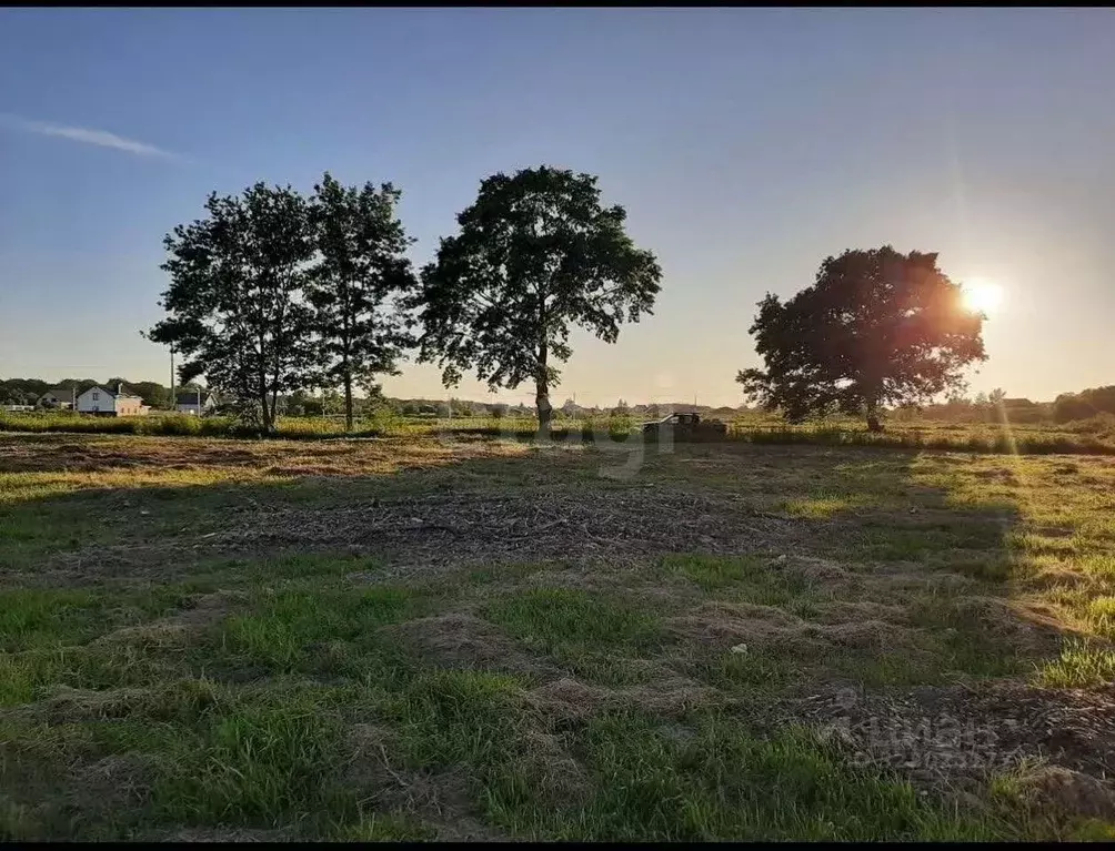 Участок в Калининградская область, Зеленоградск ул. Задорная (67.3 ... - Фото 1