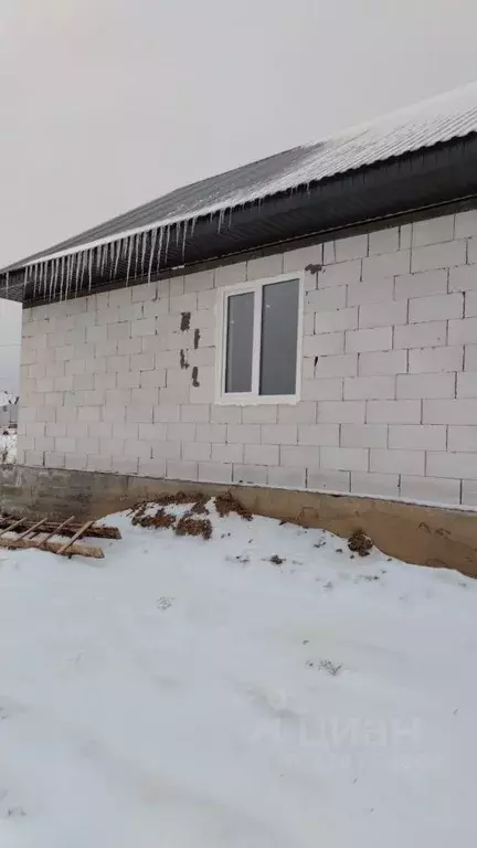 Дом в Алтайский край, Барнаул городской округ, пос. Центральный ул. ... - Фото 2