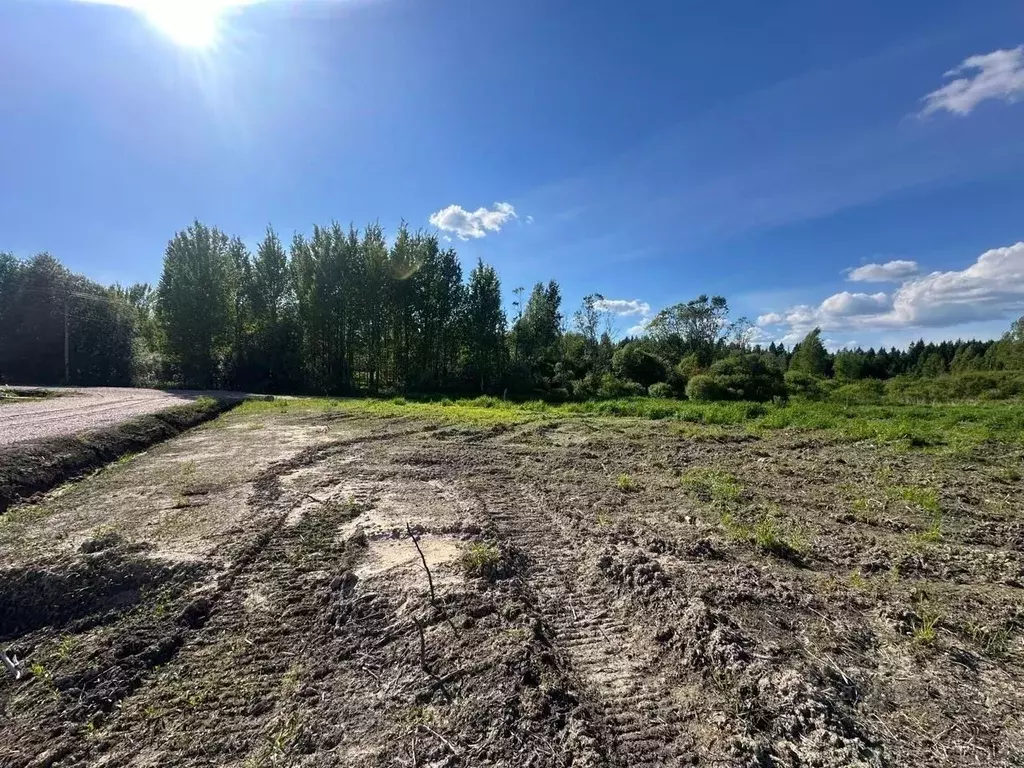Участок в Ленинградская область, Выборгский район, Рощинское городское ... - Фото 2