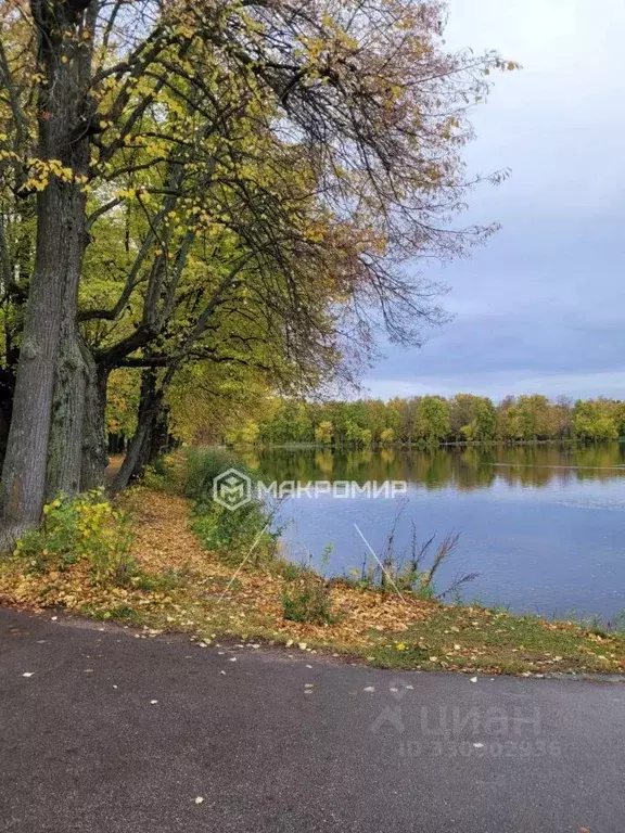 Участок в Санкт-Петербург, Санкт-Петербург, Петергоф Калининская ул., ... - Фото 2