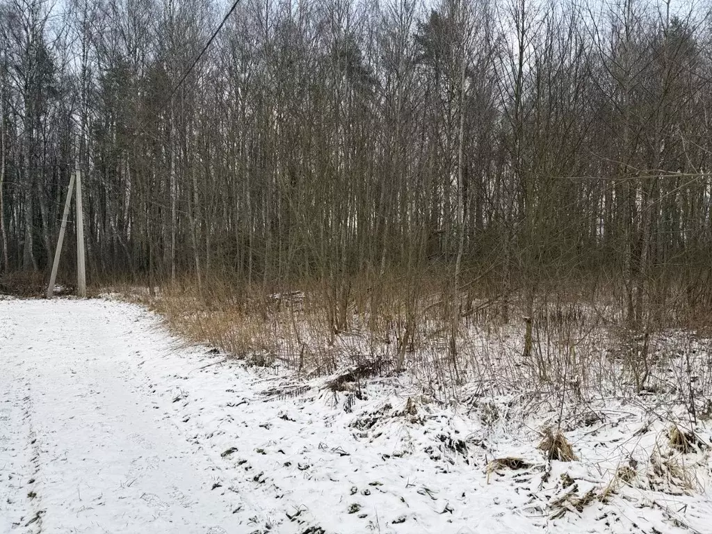 Участок в Владимирская область, Александровский муниципальный округ, ... - Фото 1