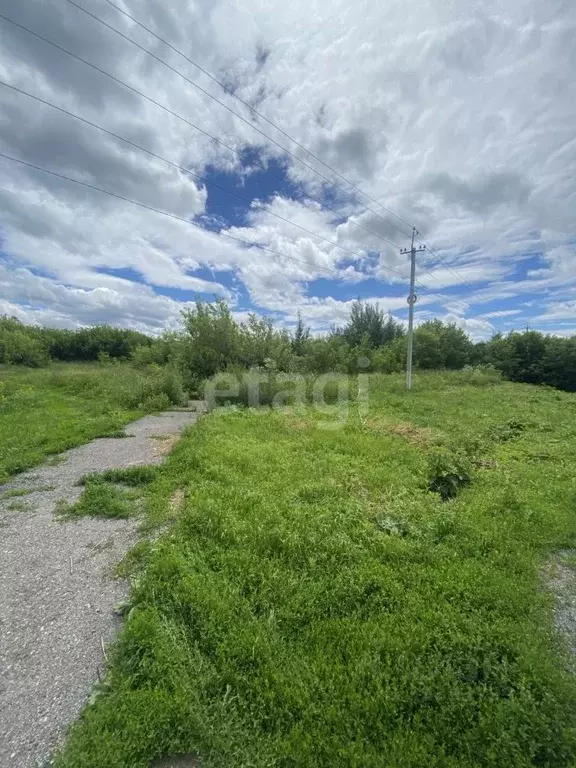 Участок в Кемеровская область, Топки  (36.5 сот.) - Фото 1