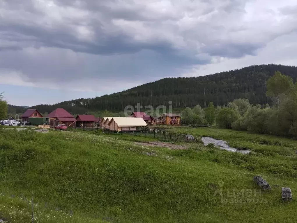 Участок в Алтайский край, Алтайский район, с. Нижнекаянча ул. ... - Фото 1