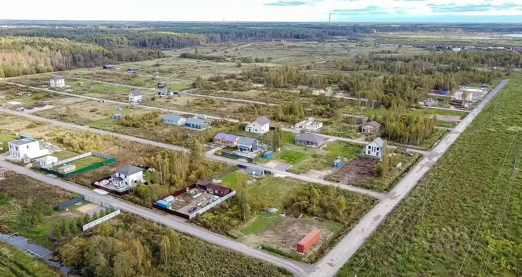 Участок в Ленинградская область, Всеволожск ул. Анатолия Молчанова ... - Фото 2