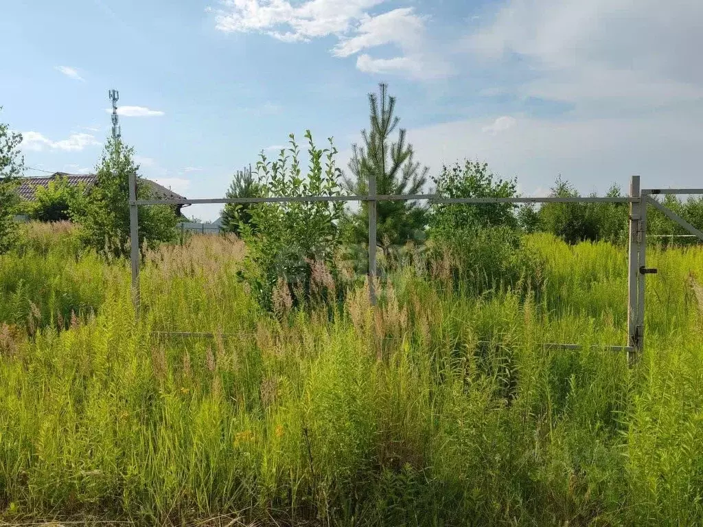 Участок в Нижегородская область, Богородский муниципальный округ, с. ... - Фото 1