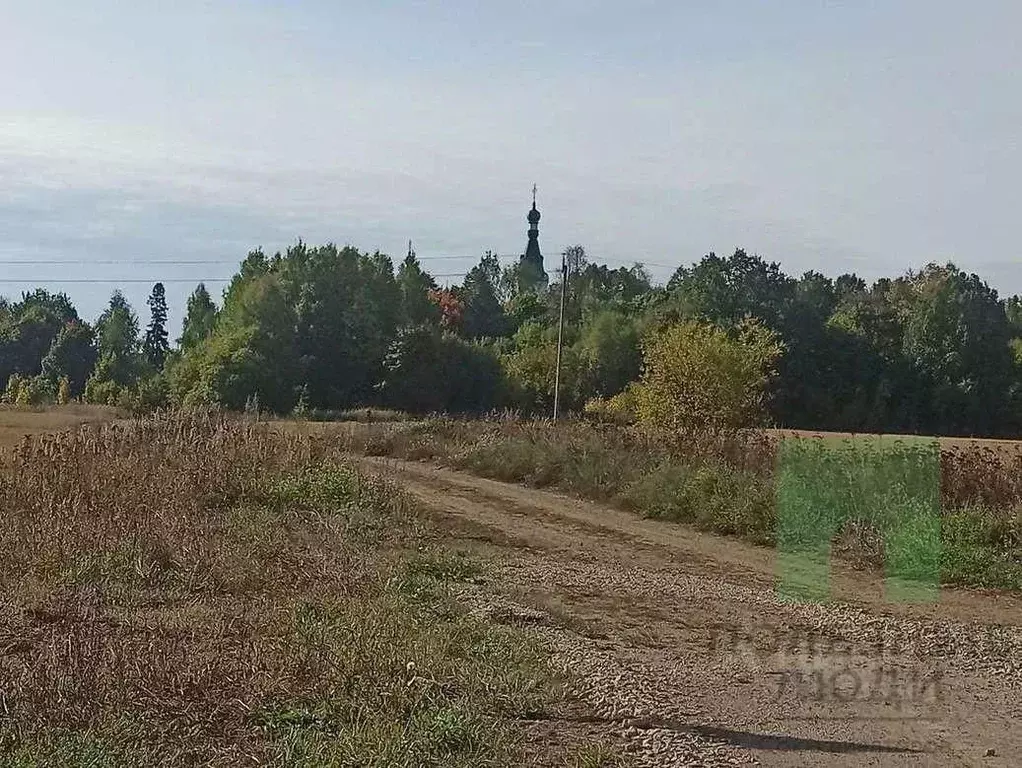 Участок в Марий Эл, Оршанский район, Марковское с/пос, с. Кучка ул. ... - Фото 1