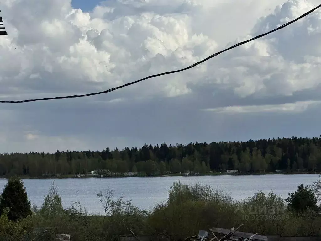 Участок в Московская область, Дмитровский муниципальный округ, д. ... - Фото 2