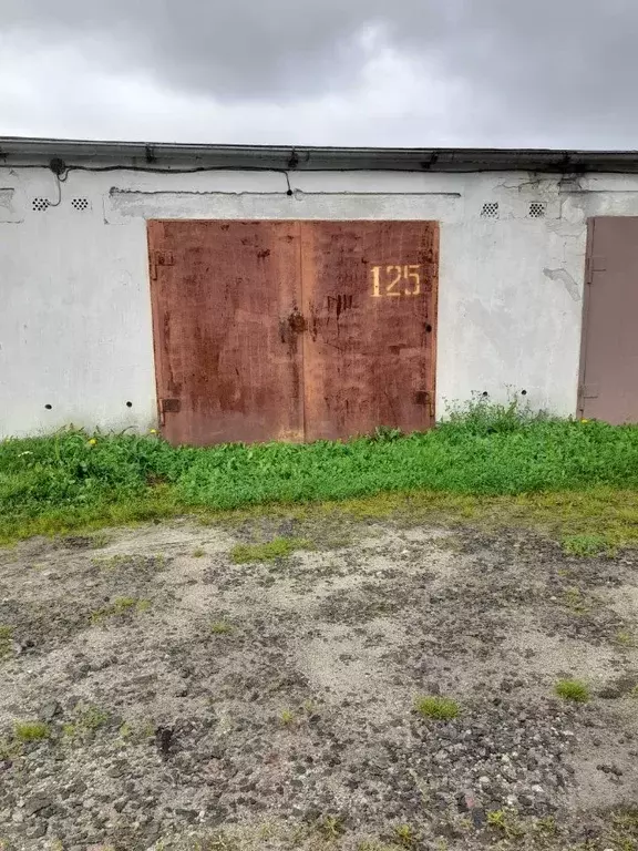 Гараж в Калининградская область, Калининград Малоярославская ул., 20 ... - Фото 2