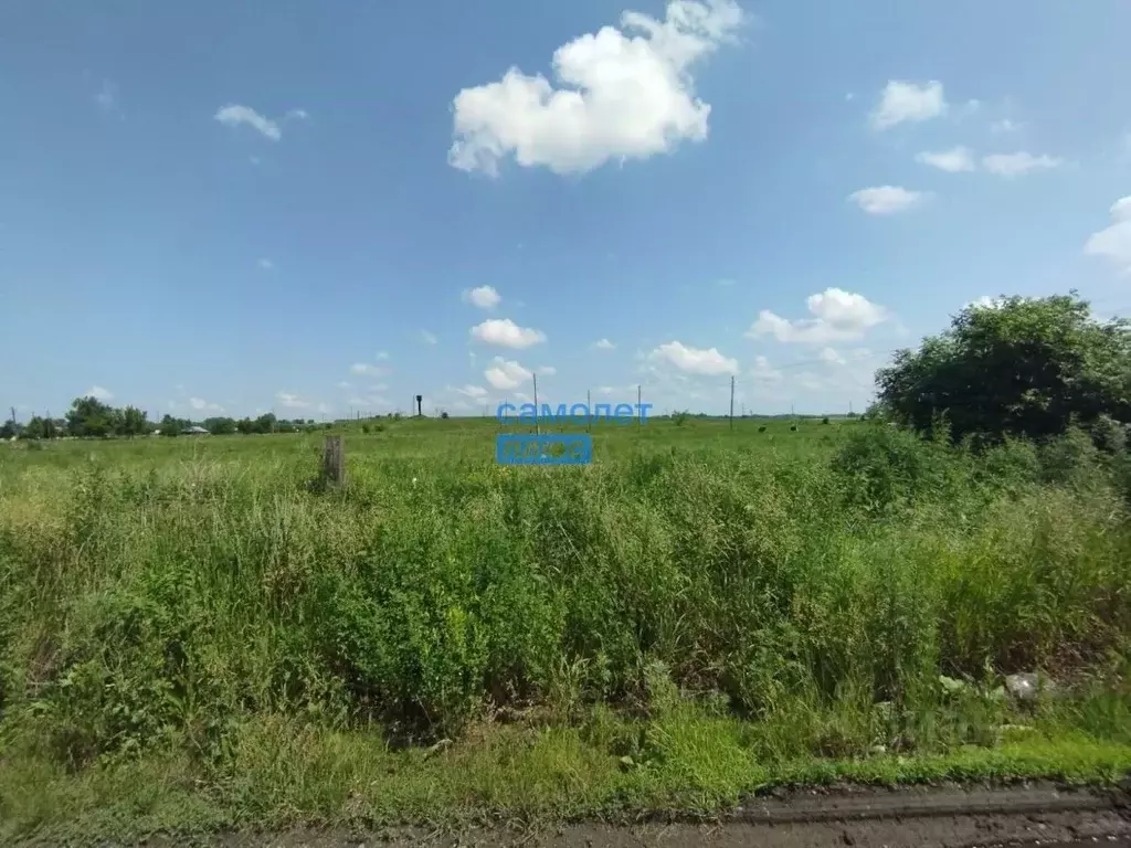 Участок в Алтайский край, Смоленский район, с. Смоленское Октябрьская ... - Фото 1