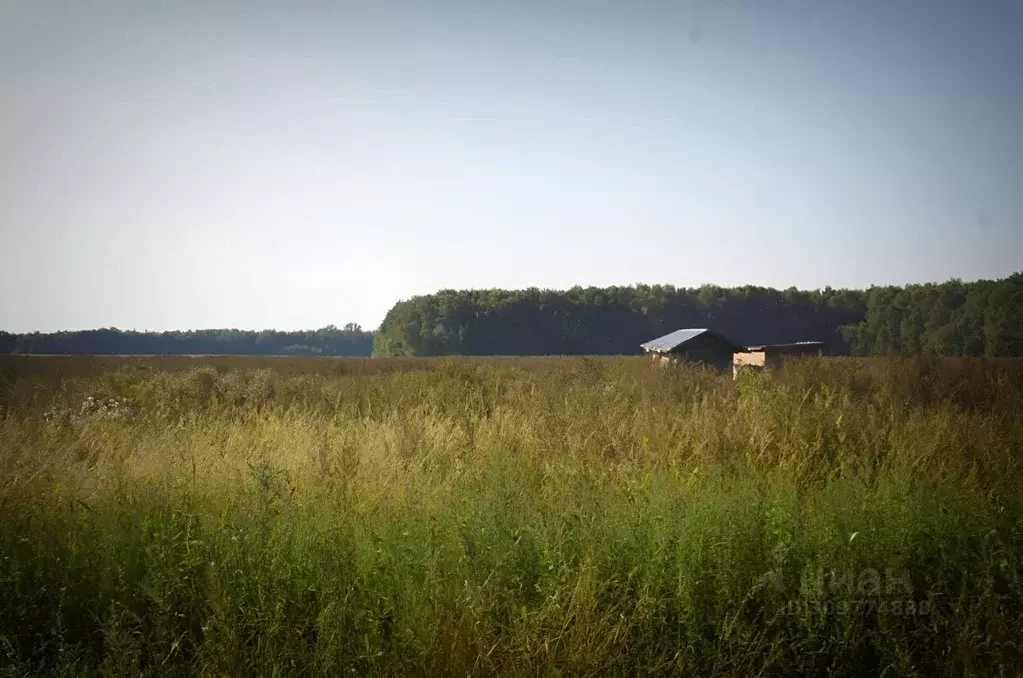 Участок в Московская область, Пушкинский городской округ, д. Данилово ... - Фото 0