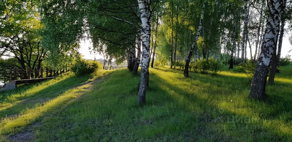 Участок в Тульская область, Веневский муниципальный округ, Родники ... - Фото 2