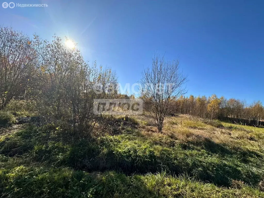 Участок в Наро-Фоминский городской округ, дачный посёлок Луговое (11.7 ... - Фото 1